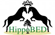 Logo Hippobed